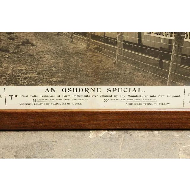 1890s an Osborne Special Photo, Framed For Sale - Image 4 of 7