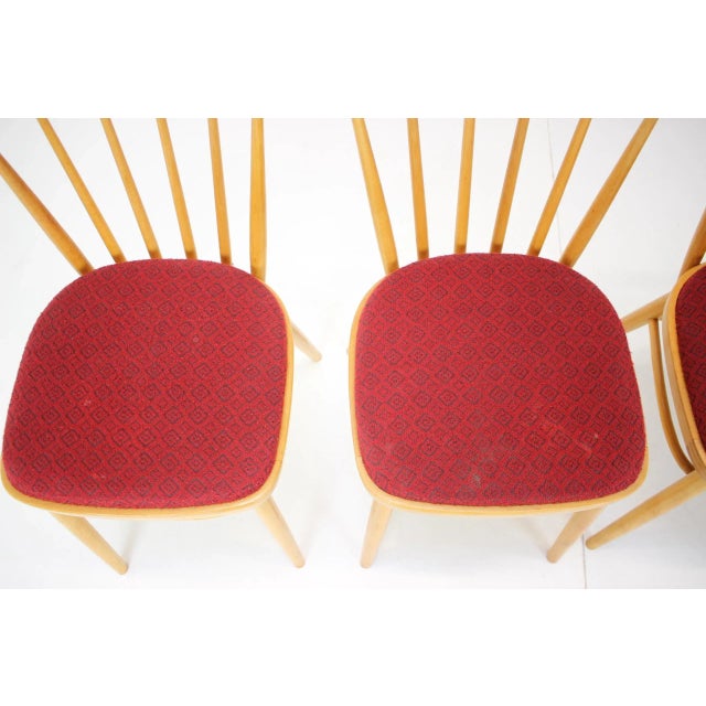 Brown Dining Chairs from Tatra Pravenec, 1970s, Set of 4 For Sale - Image 8 of 12