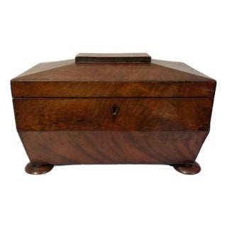 Antique Early 19th Century William IV Regency English Mahogany Tea Sarcophagus Caddy For Sale