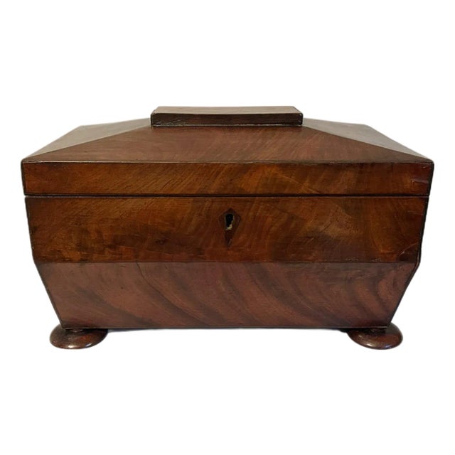 Antique Early 19th Century William IV Regency English Mahogany Tea Sarcophagus Caddy For Sale