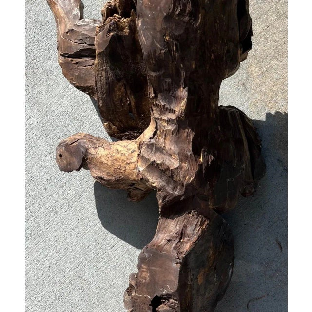Rare Large 15th Century Renaissance English Oak Roof Angels Corbel. For Sale - Image 10 of 12