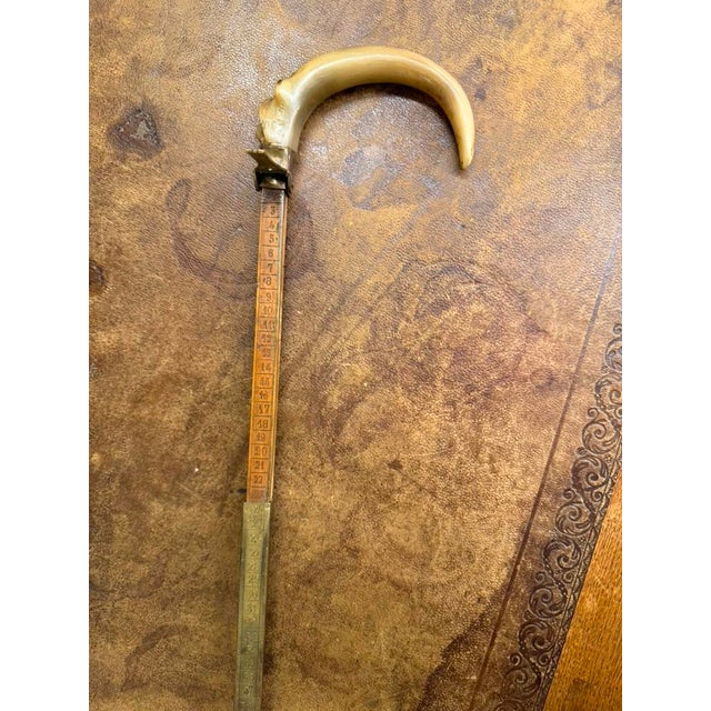 Rare Spanish Shoe Cobbler's Cane With Measuring Shaft, Circa 1860 For Sale - Image 4 of 11