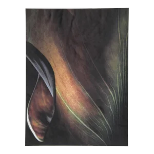 African Lea (Photo Nuage), Jonathan Singer