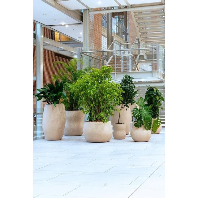 Pebble Medium Brown Planter by Indigenus For Sale - Image 4 of 13