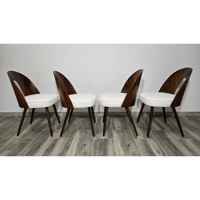 Dining Chairs by Antonin Suman, 1960s, Set of 4 For Sale - Image 6 of 18