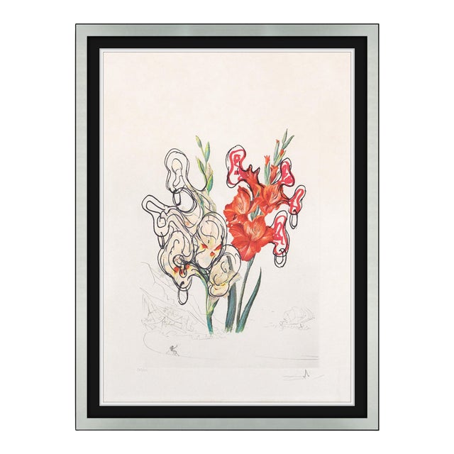Late 20th Century Gladiolus Cum Aurium Corymbo Expectantium Surreal Red Drypoint Etching and Heliogravure Salvador Dalí For Sale
