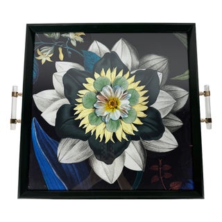 Custom Tray Christian Lacroix Atlantis Black For Sale