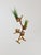 Contemporary German Plant Stand, 1950s For Sale - Image 3 of 11