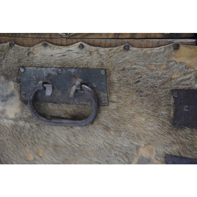 Spanish 19th Century Spanish Colonial Hide Covered Trunk For Sale - Image 3 of 11