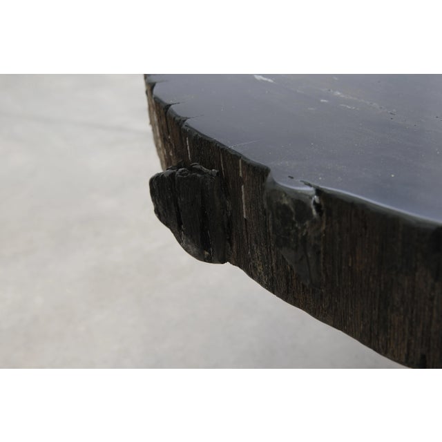 Black Petrified Wood Coffee Table by Xyleia Petrified Wood For Sale - Image 6 of 11