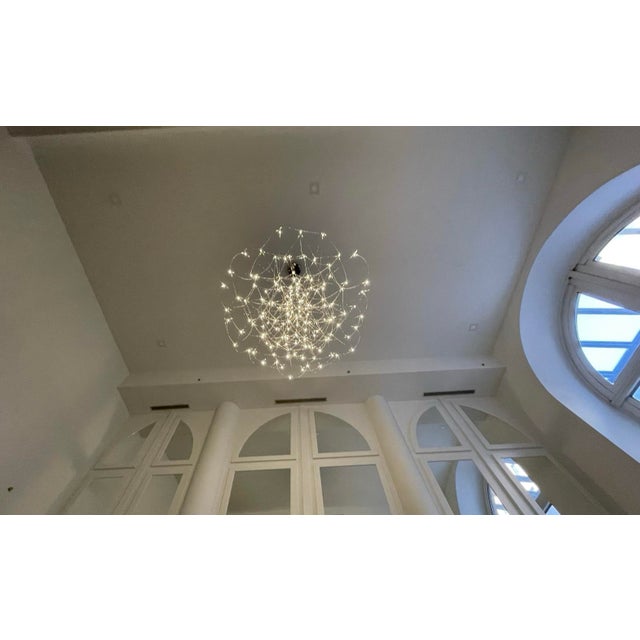 2020s Domus DDC Q2 Nickel Chandelier For Sale - Image 5 of 8