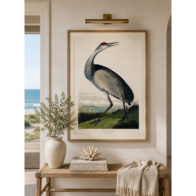 Whooping Crane, Vintage ornithological artwork reproduced from Birds of America by John James Audubon and refined for...
