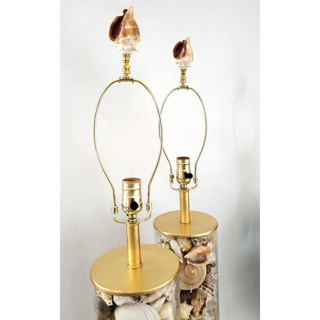 Lamp Pair Seashells Shells Restored Extra Large Size For Sale - Image 9 of 10