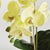 100% realistic a perfect copy of nature. This orchid dropin is a nomaintenance work of art. Right down to the carefully...
