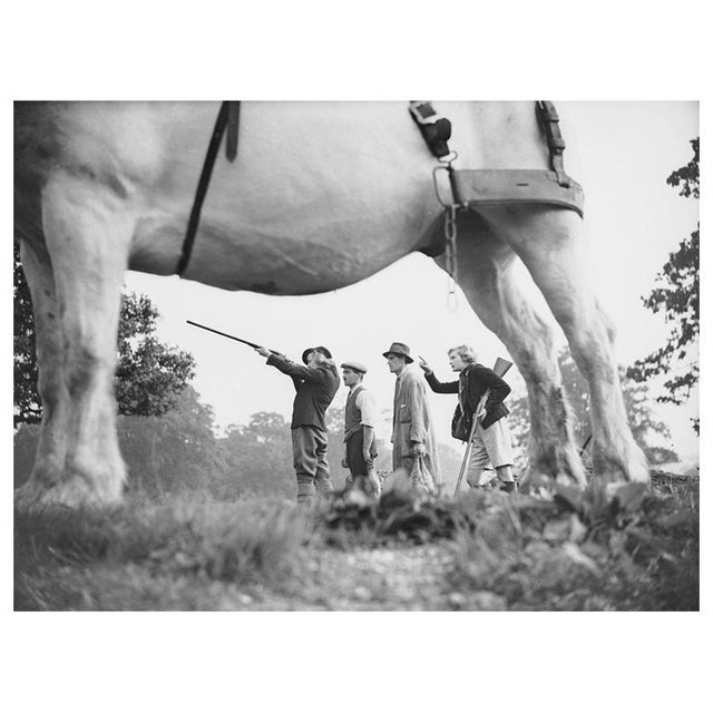 'Shooting Party' Unframed Archival Pigment Print For Sale