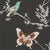 Contemporary Sample - Schumacher Birds & Butterflies Wallcovering In Graphite For Sale - Image 3 of 6