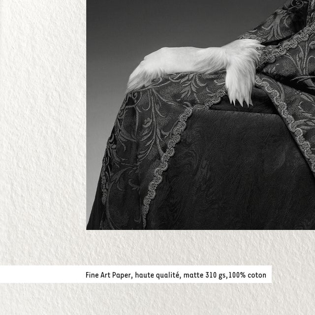 Black Moreno Beatriz, White Eagle, The Sentinels of Tellus Series, Print For Sale - Image 8 of 9