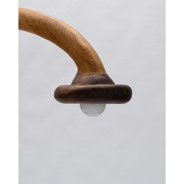 Contemporary Walnut and Red Oak Floor Lamp by Alexander Knysch For Sale - Image 3 of 8