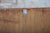 Glass Mid-Century Czech Bookcase from Dřevozpracující Podnik Praha, 1950s For Sale - Image 7 of 14