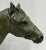 M. de Mathelin, Horse Walking in Bronze with Green Patina, 1900s For Sale - Image 4 of 8