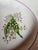 Antique Old Paris Platters With Wildflowers and a Raspberry Pink Border - A Set For Sale - Image 4 of 8