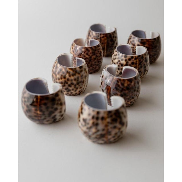 Brown Vintage Italian Napkin Rings, 1980s, Set of 8 For Sale - Image 8 of 11