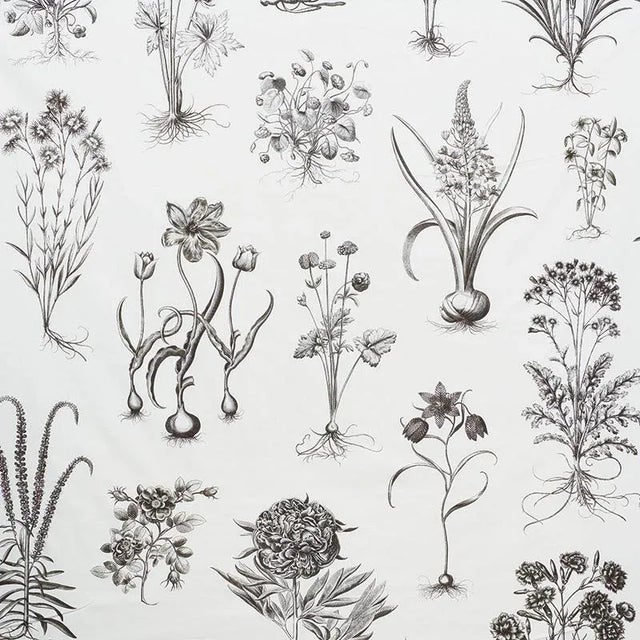 Inspired by 18th-century scientific illustrations of plants, this chic cotton print combines a large, fresh and modern...
