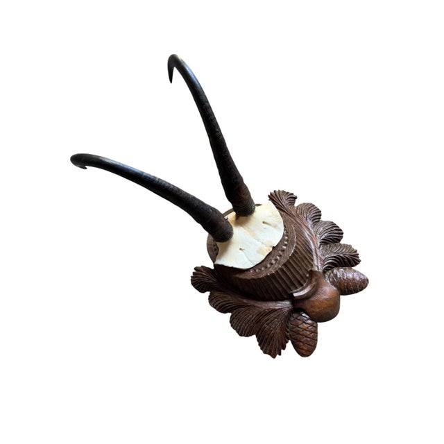 Chamois Trophy 223 Black Forest Horns Mount For Sale - Image 4 of 5