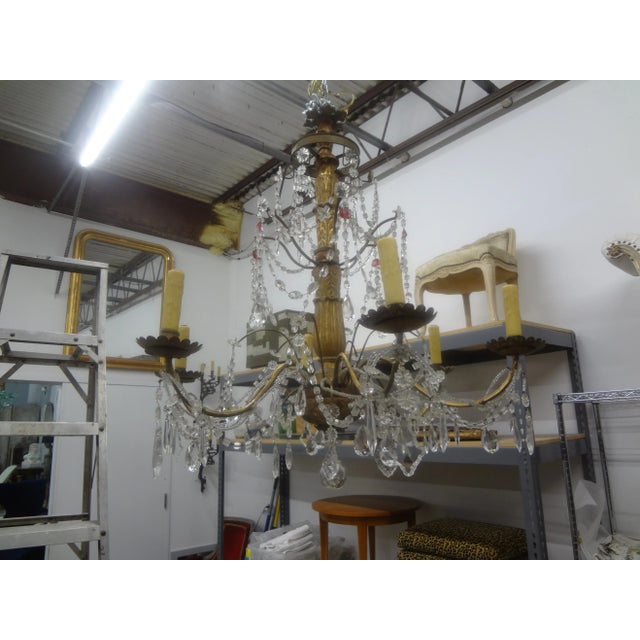 19th Century Italian Genovese Giltwood and Crystal Chandelier For Sale - Image 10 of 12