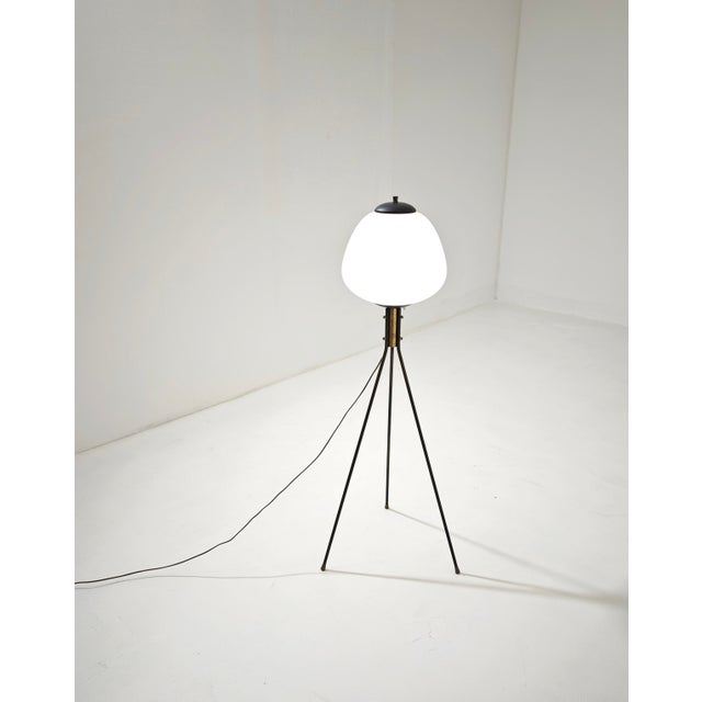 Mid-Century Modern Tripod Floor Lamp in Brass and Opaline Glass, Italy, 1960 For Sale - Image 9 of 14