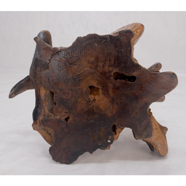 Large 25" Tall Artist Signed Driftwood Root Burl Wood Natural Sculpture For Sale - Image 4 of 12