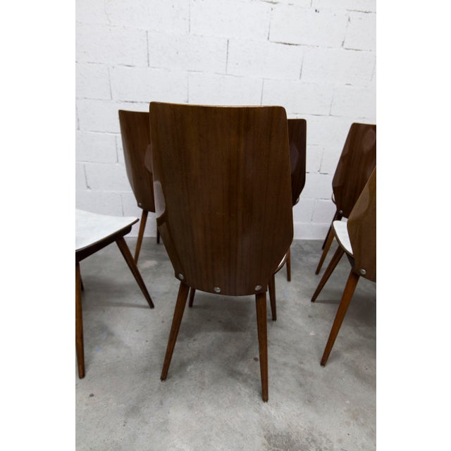 Baumann Model 840 G2S Chairs in Varnished Mahogany Finish, 1963, Set of 6 For Sale - Image 4 of 18