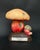 1960s 20th Century Educational Mushroom Models attributed to Deyrolle, France, 1960s, Set of 19 For Sale - Image 5 of 10
