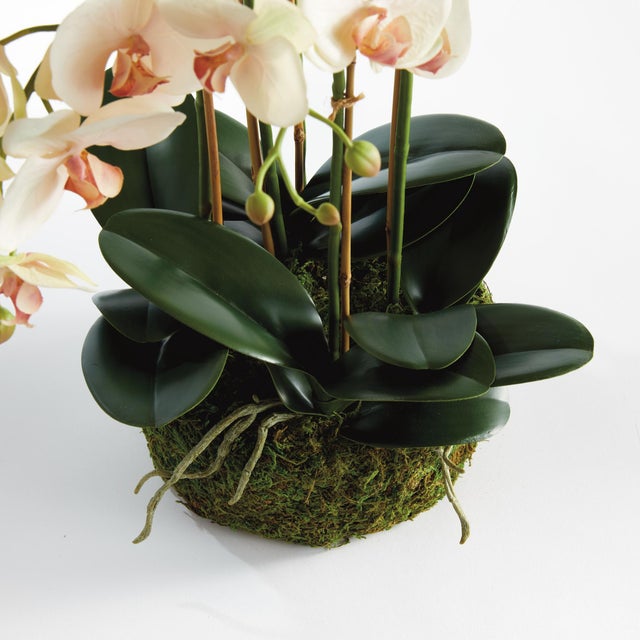 100% realistic a perfect copy of nature. This exquisite soft blush orchid dropin is a nomaintenance work of art. Right...