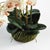 100% realistic a perfect copy of nature. This exquisite soft blush orchid dropin is a nomaintenance work of art. Right...