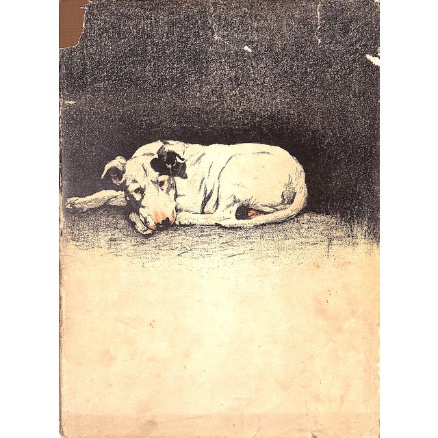 "Dogs of Character" Book 1927 Aldin, Cecil For Sale - Image 11 of 12