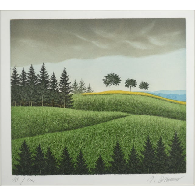 Josef Bramer (Austria B. 1948). A very good interpretation of a lush rural landscape. The work is a color lithograph on...