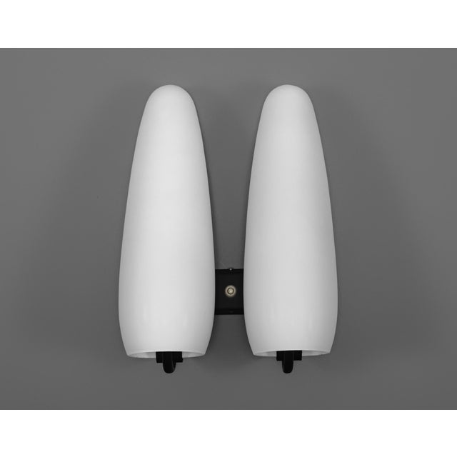 Metal Vintage Opaline Glass Wall Lamp by Louis Kalff for Philips, 1950s For Sale - Image 7 of 7