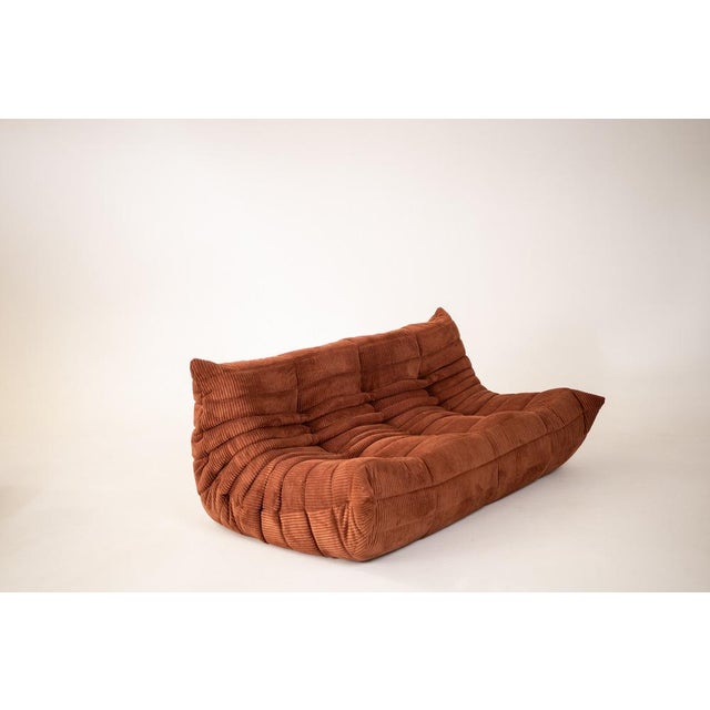 1970s Togo Living Room Set in Velvet Blue by Michel Ducaroy for Ligne Roset, 1979, Set of 5 For Sale - Image 5 of 14