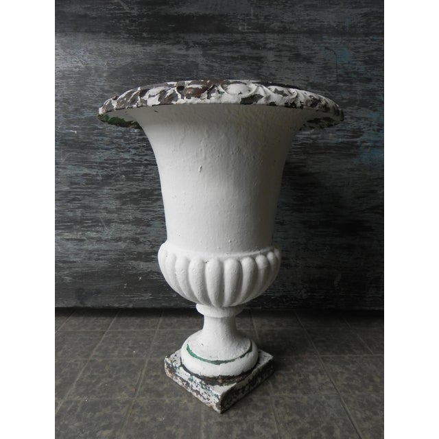 Antique Model Medicis Cast Iron Vase, 1890s For Sale - Image 5 of 11