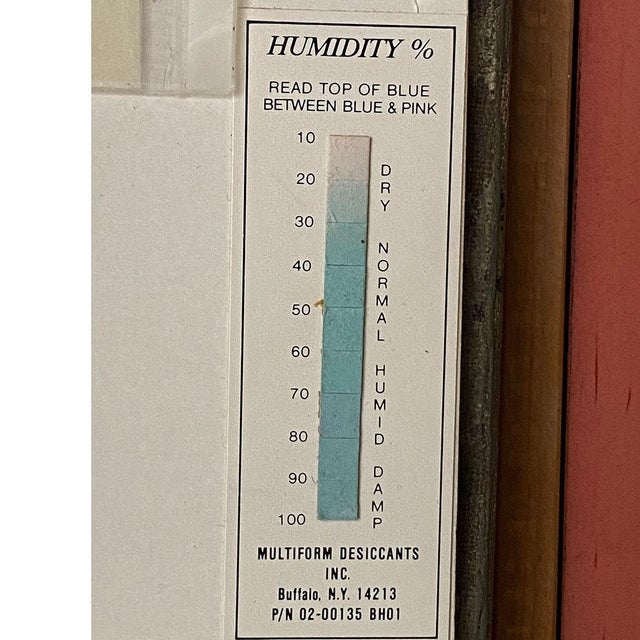 William W. Warren Oil Painting on Canvas, Terrier Dogs on a Sandy Dune For Sale - Image 10 of 13