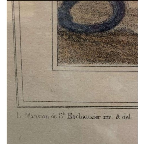 Naval Captains, Plate 5, 19th Century, Coloured Print, Framed For Sale - Image 4 of 10