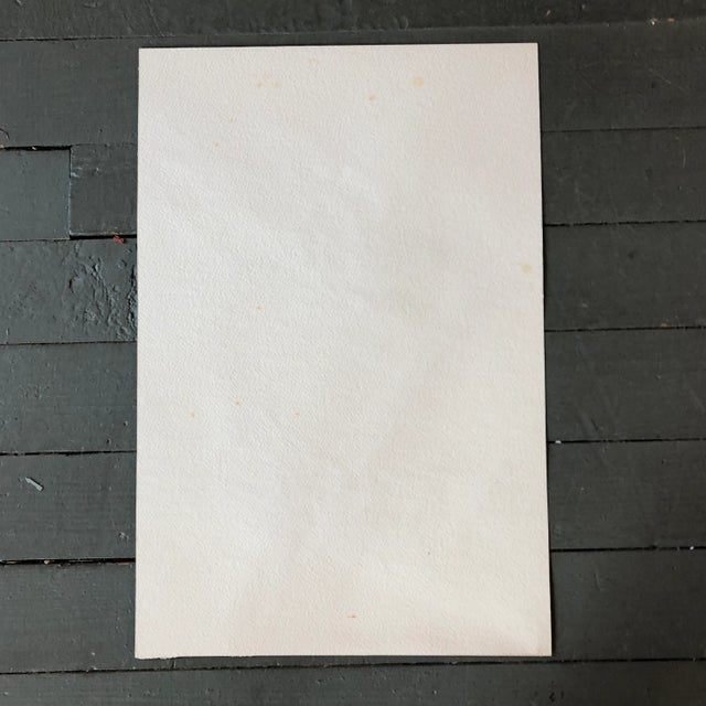 Original 1960’s Pop Dove Watercolor Painting With Monogram For Sale - Image 4 of 5