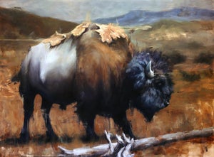Wanderer by Morgan Cameron | Oil on board of a bison in a natural landscape.