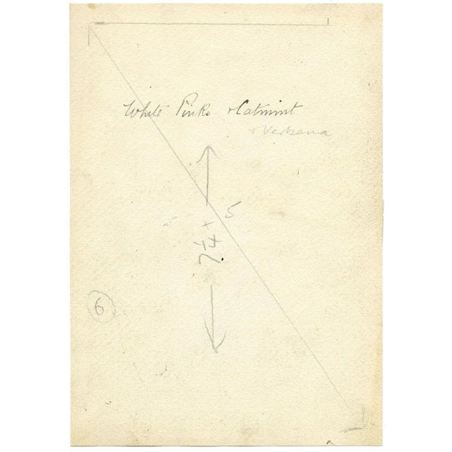 Annie L. Pressland, Catmint & Verbena Flowers, 1920s, Watercolour Painting For Sale - Image 3 of 4