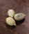 Mid-Century Italian Hand-Carved Stone Fruit Sculptures, Set of Ten For Sale In Dallas - Image 6 of 6