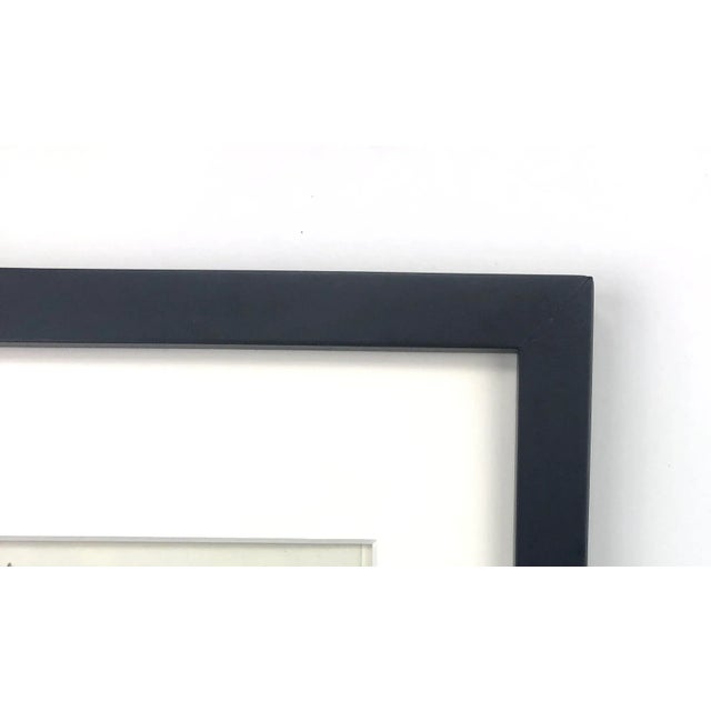 Realism Framed Antique Photogravure Blossfeldt Botanical Print - No. 90 For Sale - Image 3 of 5