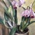 Mid-Century Modern Original Vintage 1940’s Modernist Still Life Painting Orchids For Sale - Image 3 of 7