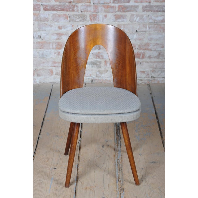 Textile Mid-Century Chairs in Walnut attributed to Antonín Šuman, Czech, 1950s, Set of 4 For Sale - Image 7 of 18