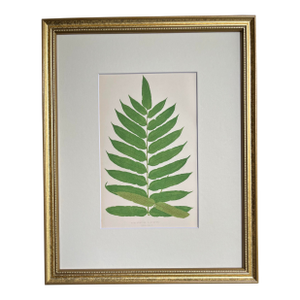 Antique Botanical Lithograph of a Fern Print by Edward J. Lowe London c.1867
